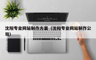 七台河沈阳专业网站制作方案（沈阳专业网站制作公司）
